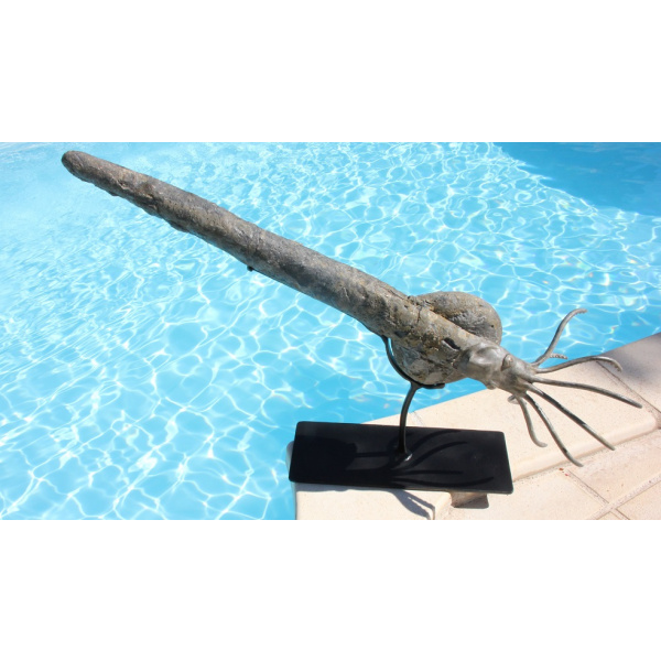 Orthoceras - Image 14