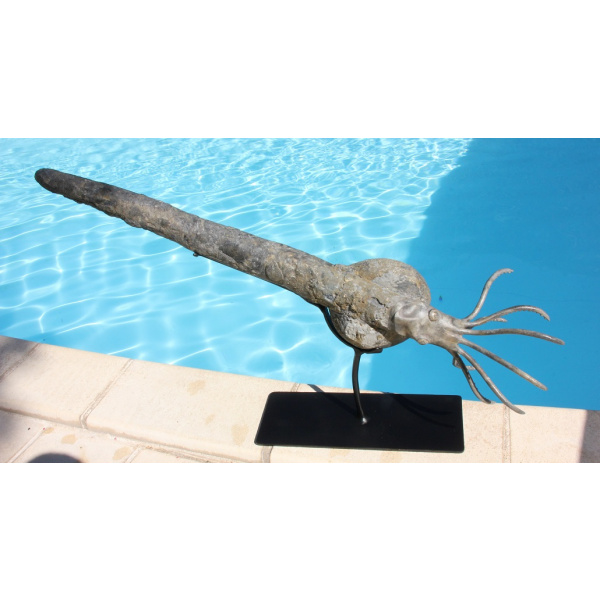 Orthoceras - Image 15