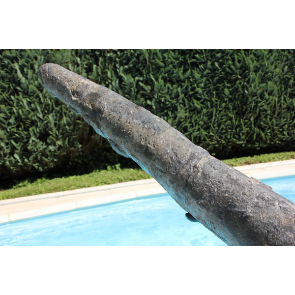 Orthoceras - Image 11