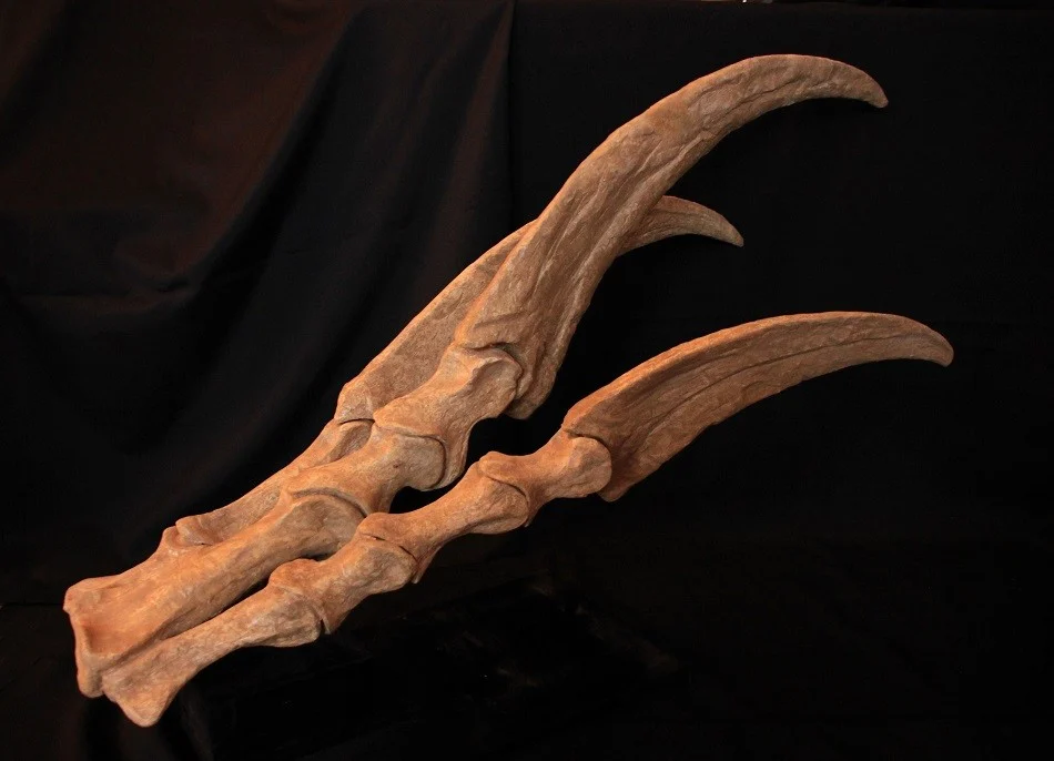 Therizinosaurus main moulage